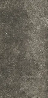 Керамогранит LA ROCHE MUD 60X120 RET