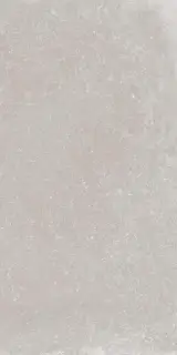 Керамогранит GENT ASH RET.  	60X120