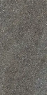 Керамогранит NATIVE FOREST LAP RET  60X120