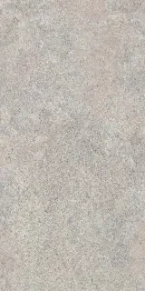 Керамогранит NATIVE ASH RET  60X120