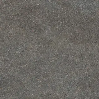 Керамогранит NATIVE FOREST LAP RET	120X120