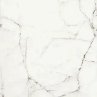 Керамогранит RHAPSODY WHITE FUN NAT RET 60X60