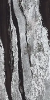 Керамическая плитка EMPEROR NAT RETT	160x320