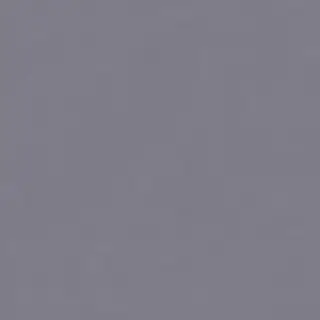 Керамический гранит W&S FL. RAINBOW MALVA 120x120