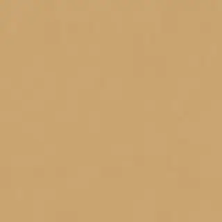 Керамический гранит W&S FL. RAINBOW SENAPE 120X120