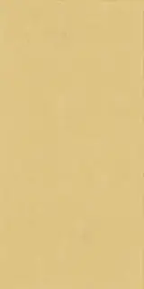 Керамическая плитка WIDE&STYLE MINI GINGER RET 60х120