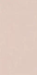 Керамическая плитка WIDE&STYLE MINI POWDER RET 60х120