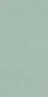 Керамическая плитка WIDE&STYLE MINI MINT RET 60х120