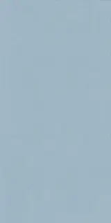 Керамическая плитка WIDE&STYLE MINI SKY RET  60х120