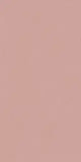 Керамическая плитка WIDE&STYLE MINI PHARD RET 60х120