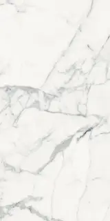 Керамогранит LES ORIGINES DE REX BLANC GLOSSY 60X120