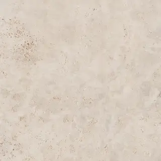 Керамогранит NAVONA BONE CROSS RET	60X60