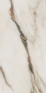 Керамогранит SNS.SIGN.CAL. VENA ORO NAT RET 60X120