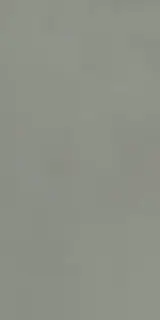 Керамогранит NUANCES SALVIA 120X280
