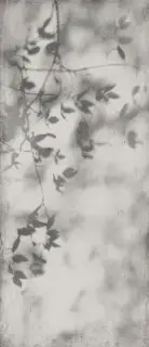 Керамогранит ART WALLS SHADOW NAT R 120x280