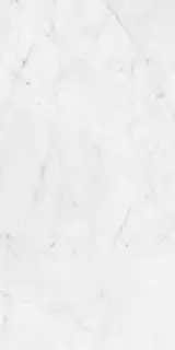 Керамогранит SENSI 900 CARRARA LUX RETT 60X120