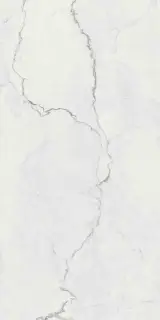 Керамогранит SUPREME MEMORIES QUARZITE LUNA NAT RETT. P. TECH R10 60X120