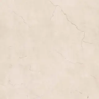 Керамическая плитка SPR.MEMOR. ROSA PERL. ANT R120X120