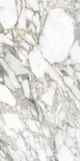 Керамогранит SUPREME MEMORIES BIAN.VAGLI NAT RETT. P. TECH R10 60X120