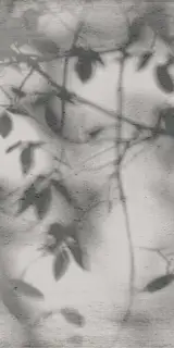 ART WALLS SHADOW NAT R60X120