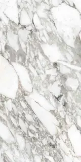 Керамогранит SUPREME  MEMORIES BIAN.VAGLI LAPPATO ANT. 3D R 60X120