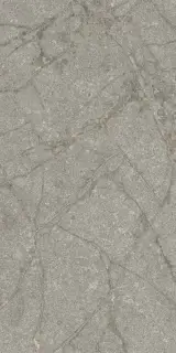 Керамогранит SUPREME MEMORIES GREY SOAP. NAT RETT. P. TECH R10 60X120