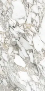 Керамогранит SUPREME MEMORIES BIAN.VAGLI LUX RETT 60X120