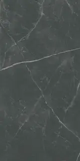 Керамогранит SUPREME MEMORIES DARK STONE NAT RETT. P. TECH R10 60X120