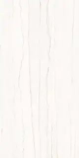 Керамогранит SNS.NUANCE WHITE MAC. NAT R60X120