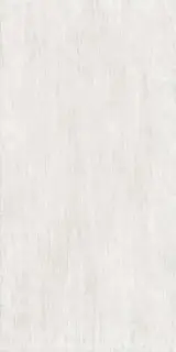 Керамогранит FOYER LUMIERE NAT.RET 60X120