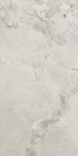 Керамогранит KARNIS SILVER MATT 600x1200