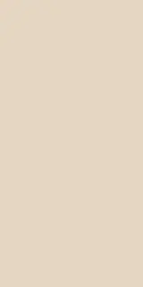 Керамогранит HBE BIOTERRE SOIA HBE 1 60X120 RETT