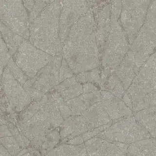 Керамогранит SPR.MEMOR. GREY SOAP. NAT R120X120