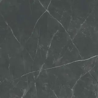 Керамогранит SPR.MEMOR. DARK STONE NAT R120X120