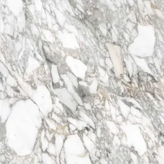 Керамическая плитка SPR.MEMOR. BIAN.VAGLI ANT R120X120