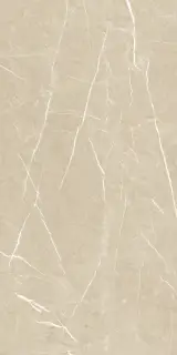 Керамический гранит MEDLEY VIOLIN MOL.RET.60X120