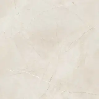 Керамогранит SPR.MEMOR. PULPIS IVO. LUX R120X120