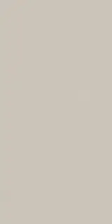 Керамогранит HBE BIOTERRE ARGILLA HBE 11 60X120 RETT