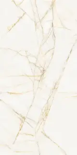 Керамогранит SUPREME HEDONISM GOLD SPID. NAT R 60x120