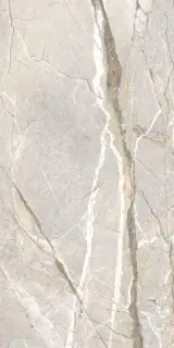 Керамогранит SUPREME HEDONISM SLIV.ROOTS NAT R 60x120