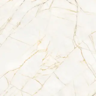 Керамическая плитка  SUPREME HEDONISM  GOLD SPID. LU3 R 120X120