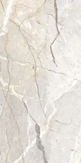 Керамогранит SUPREME HEDONISM SILVER ROOTS LU3 R 60x120