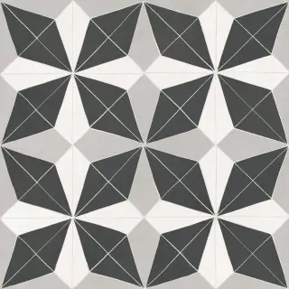 Керамогранит ALTEREGO 14OI LAPIS NAT R 60X60