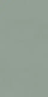 Керамогранит PIGMENTA VERDELLIA NAT.RET. 60X120