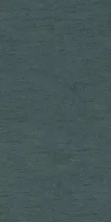 Керамогранит PTR.STN.RE BASAL.DARK ASH NAT R60X120