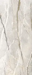 Керамогранит SPR.HEDON. SILV.ROOTS SF3 R120X280