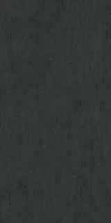 Керамогранит PTR.STN.RE.BASAL.SMOK. NAT R60X120