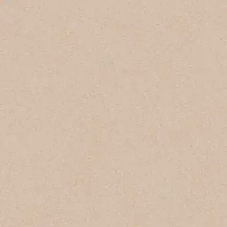 Керамогранит MOOOI NESTING ROOM SANDY PLAINS POWDER  NAT R 60X60