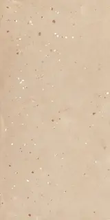 Керамогранит MOOOI NESTING ROOM EGG SCAPE  HAY  NAT R 60X120