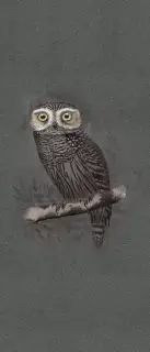 Керамогранит MOOOI NESTING ROOM SPEC.EDIT. HYPNOT.OWL  NAT R120X280